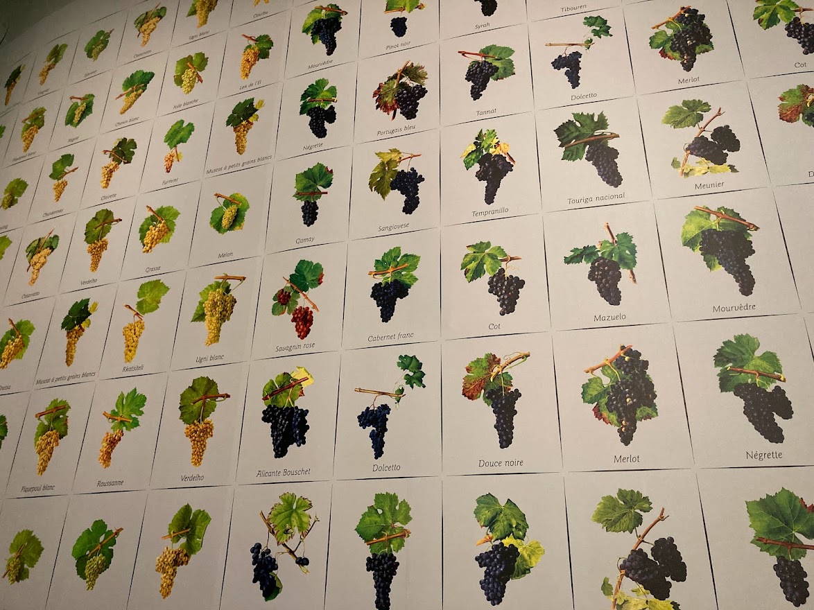 WINE DINNER: Secret Spain